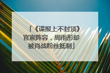 《谍报上不封顶》官宣阵容，周雨彤却被肖战粉丝抵制