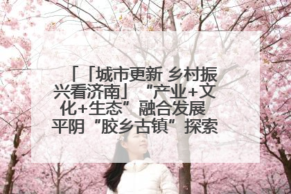 「城市更新 乡村振兴看济南」“产业+文化+生态”融合发展 平阴“胶乡古镇”探索振兴路径成效显著