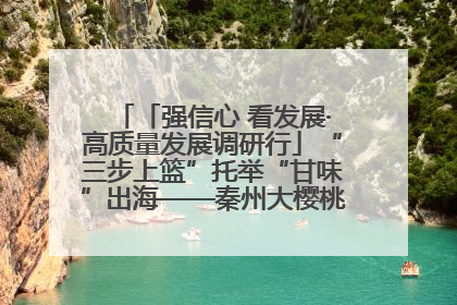 「强信心 看发展·高质量发展调研行」“三步上篮”托举“甘味”出海——秦州大樱桃高质量发展动作分解