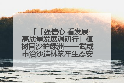 「强信心 看发展·高质量发展调研行」植树固沙护绿洲——武威市治沙造林筑牢生态安全屏障见闻
