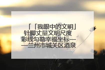 「我眼中的文明」针脚丈量文明尺度 彩线勾勒幸福坐标——兰州市城关区酒泉路街道办事处