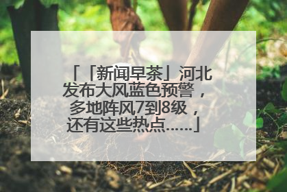 「新闻早茶」河北发布大风蓝色预警，多地阵风7到8级，还有这些热点……