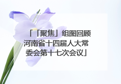 「聚焦」组图回顾河南省十四届人大常委会第十七次会议