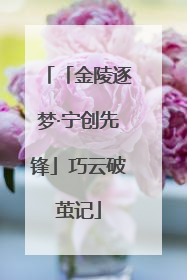 「金陵逐梦·宁创先锋」巧云破茧记
