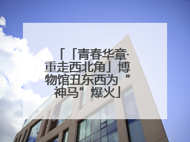 「青春华章·重走西北角」博物馆丑东西为“神马”爆火