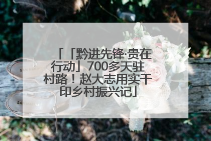 「黔进先锋·贵在行动」700多天驻村路！赵大志用实干印乡村振兴记