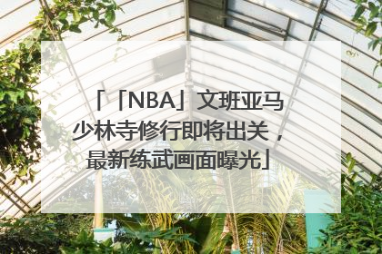 「NBA」文班亚马少林寺修行即将出关，最新练武画面曝光
