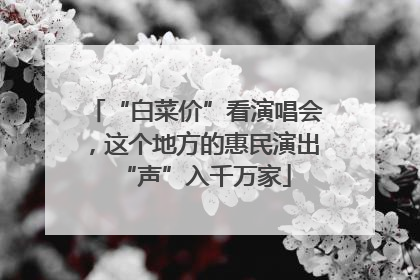 “白菜价”看演唱会，这个地方的惠民演出“声”入千万家
