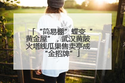 “简易棚”蝶变“黄金屋”，武汉黄陂火塔线瓜果售卖亭成“金招牌”