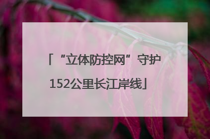 “立体防控网”守护152公里长江岸线