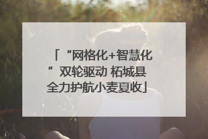 “网格化+智慧化”双轮驱动 柘城县全力护航小麦夏收