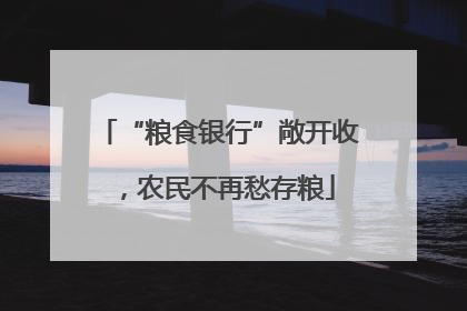 “粮食银行”敞开收，农民不再愁存粮