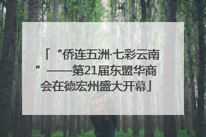 “侨连五洲·七彩云南”——第21届东盟华商会在德宏州盛大开幕