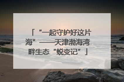 “一起守护好这片海”——天津渤海湾畔生态“蜕变记”