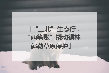 “三北”生态行：“两笔账”撬动锡林郭勒草原保护