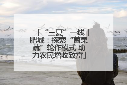 “三夏”一线丨肥城：探索“菌果蔬”轮作模式 助力农民增收致富