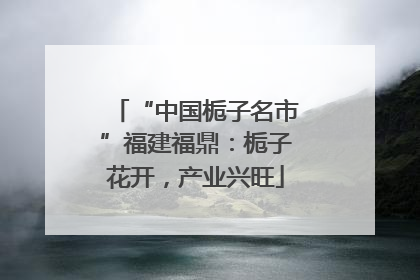 “中国栀子名市”福建福鼎：栀子花开，产业兴旺