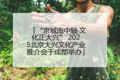 “京城南中轴·文化正大兴” 2025北京大兴文化产业推介会于成都举办