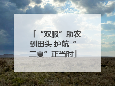 “双服”助农到田头 护航“三夏”正当时