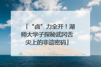 “卤”力全开！湖师大学子探秘武冈舌尖上的非遗密码