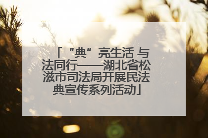 “典”亮生活 与法同行——湖北省松滋市司法局开展民法典宣传系列活动