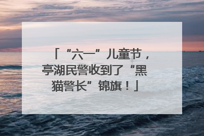 “六一”儿童节，亭湖民警收到了“黑猫警长”锦旗！
