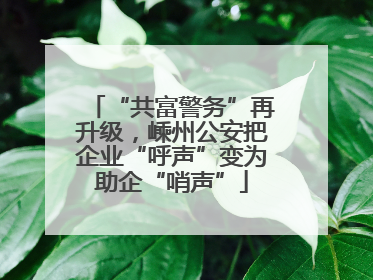 “共富警务”再升级，嵊州公安把企业“呼声”变为助企“哨声”