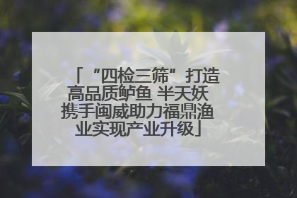 “四检三筛”打造高品质鲈鱼 半天妖携手闽威助力福鼎渔业实现产业升级