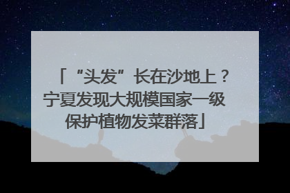 “头发”长在沙地上？宁夏发现大规模国家一级保护植物发菜群落