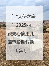 “天使之旅”2025西藏先心病患儿筛查救助行动启动