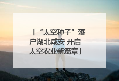 “太空种子”落户湖北咸安 开启太空农业新篇章