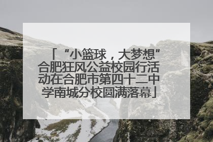 “小篮球，大梦想”合肥狂风公益校园行活动在合肥市第四十二中学南城分校圆满落幕