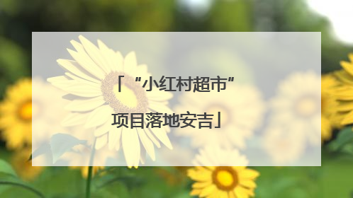 “小红村超市”项目落地安吉