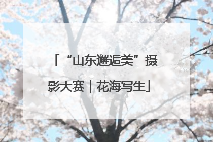 “山东邂逅美”摄影大赛｜花海写生