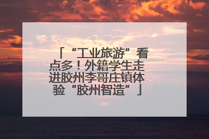 “工业旅游”看点多！外籍学生走进胶州李哥庄镇体验“胶州智造”