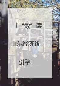 “数”读山东经济新引擎
