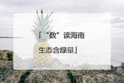 “数”读海南生态含绿量