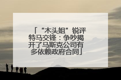 “木头姐”锐评特马交锋：争吵揭开了马斯克公司有多依赖政府合同