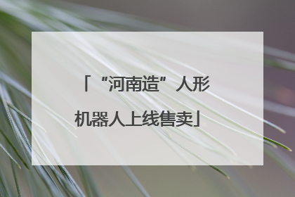 “河南造”人形机器人上线售卖