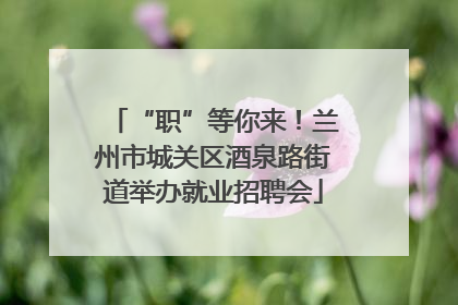 “职”等你来！兰州市城关区酒泉路街道举办就业招聘会