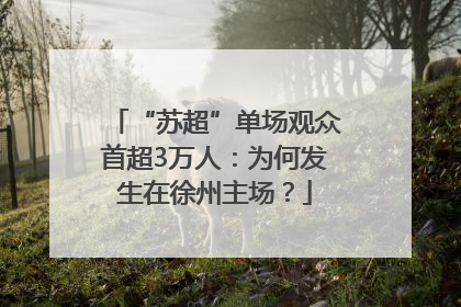 “苏超”单场观众首超3万人：为何发生在徐州主场？