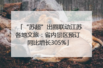 “苏超”出圈联动江苏各地文旅：省内景区预订同比增长305%