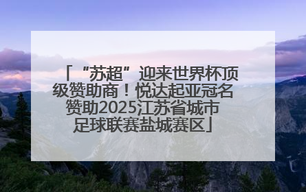 “苏超”迎来世界杯顶级赞助商！悦达起亚冠名赞助2025江苏省城市足球联赛盐城赛区