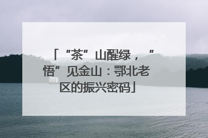 “茶”山醒绿，“悟”见金山：鄂北老区的振兴密码