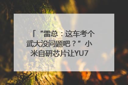 “雷总：这车考个武大没问题吧？”小米自研芯片让YU7会学习｜汽车科技