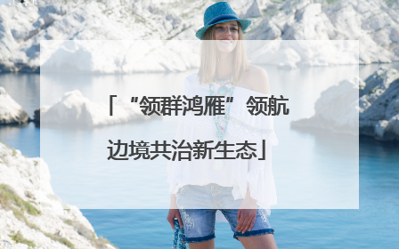 “领群鸿雁”领航边境共治新生态