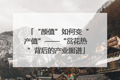 “颜值”如何变“产值”——“赏花热”背后的产业图谱