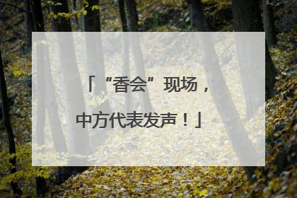“香会”现场，中方代表发声！