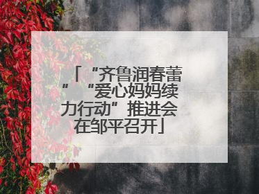 “齐鲁润春蕾”“爱心妈妈续力行动”推进会在邹平召开