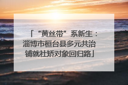 “黄丝带”系新生：淄博市桓台县多元共治铺就社矫对象回归路
